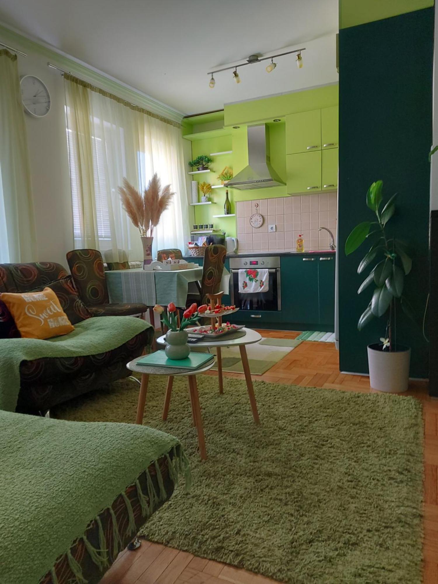 Apartmán Stancicmilena Požarevac Exteriér fotografie