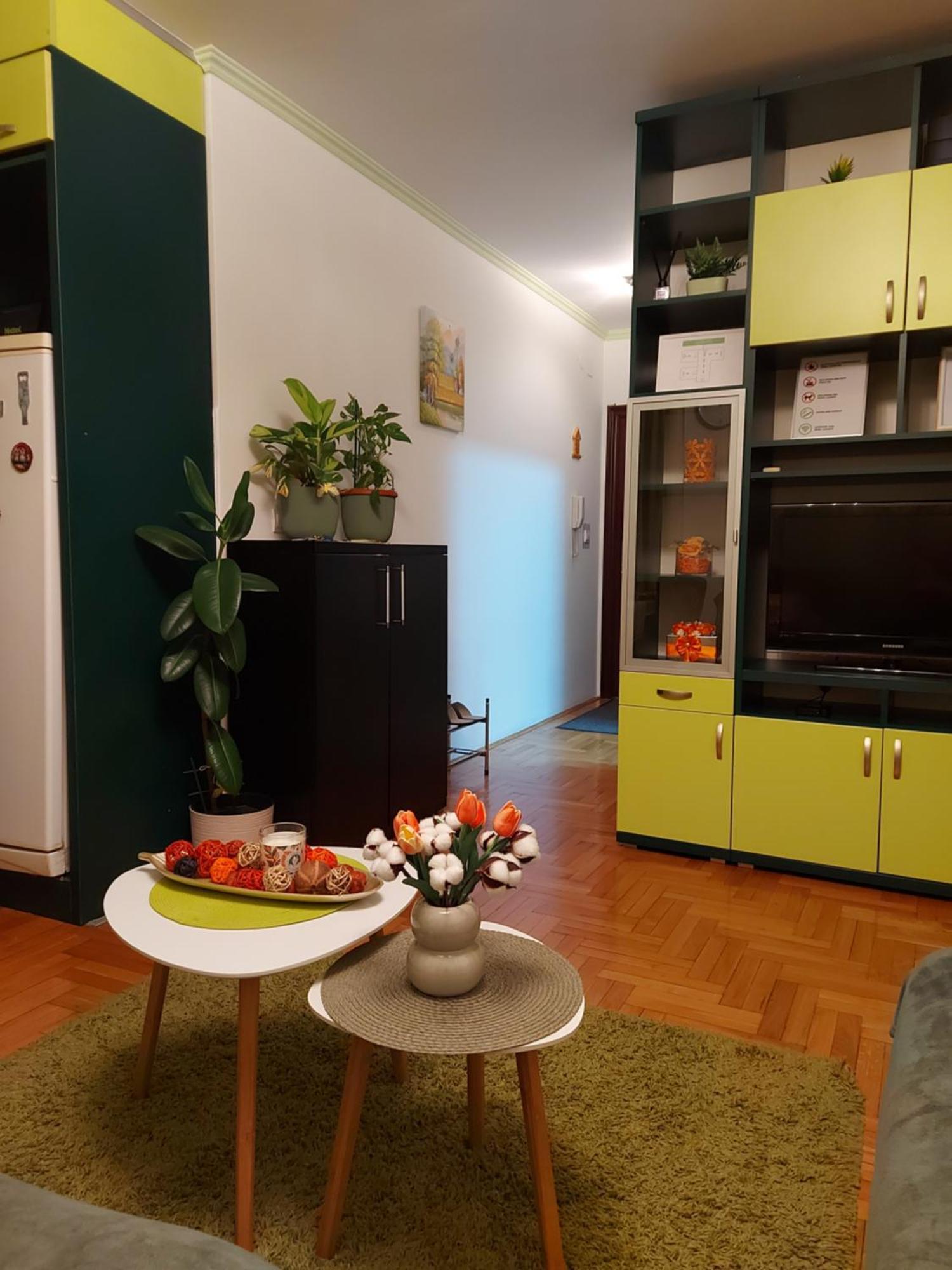 Apartmán Stancicmilena Požarevac Exteriér fotografie